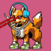 DogePunks #4751