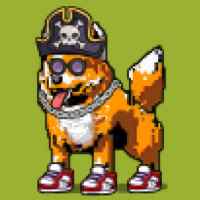 DogePunks #1488