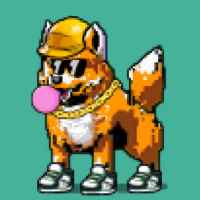 DogePunks #2007