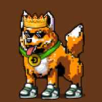 DogePunks #4869