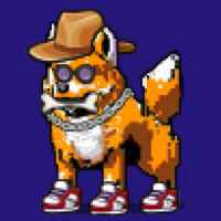 DogePunks #772