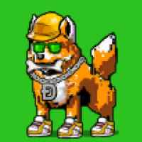 DogePunks #438