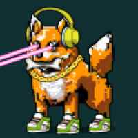 DogePunks #2302