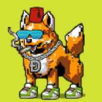 DogePunks #2032