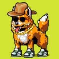 DogePunks #2204