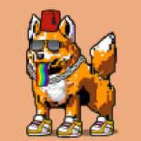DogePunks #4396