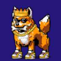 DogePunks #1024