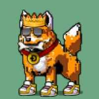 DogePunks #1878