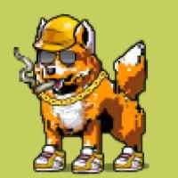 DogePunks #2822