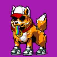 DogePunks #4776