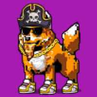 DogePunks #1909