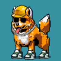 DogePunks #1757