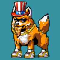 DogePunks #4517