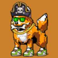 DogePunks #1529