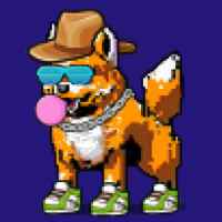 DogePunks #2361
