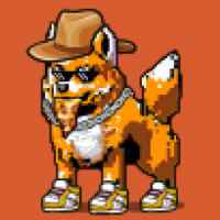 DogePunks #3105