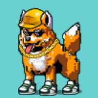 DogePunks #1308