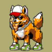 DogePunks #225