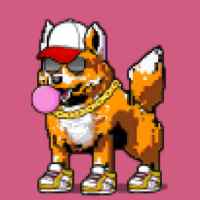 DogePunks #3243