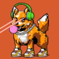 DogePunks #2507