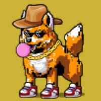 DogePunks #2009