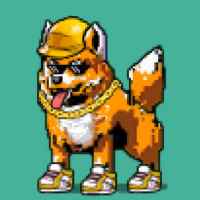 DogePunks #2813
