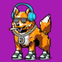 DogePunks #4188