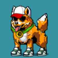 DogePunks #959