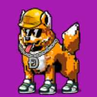DogePunks #2351