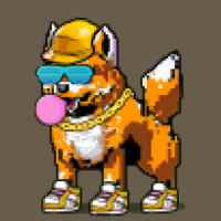DogePunks #2498
