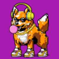DogePunks #1705