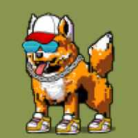DogePunks #4885