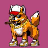DogePunks #1447