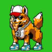 DogePunks #436