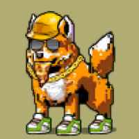 DogePunks #11