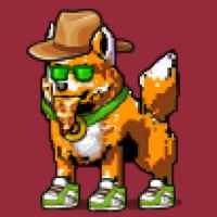 DogePunks #909