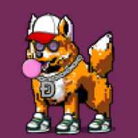 DogePunks #1079