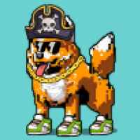 DogePunks #2891