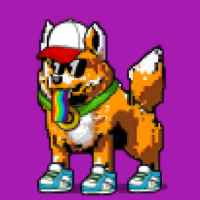 DogePunks #1423