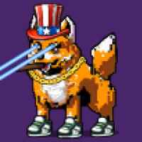 DogePunks #1743