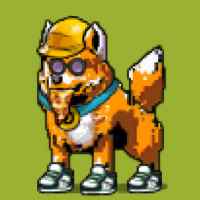 DogePunks #2070