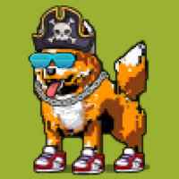 DogePunks #986