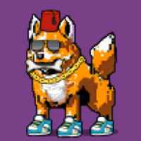 DogePunks #3253
