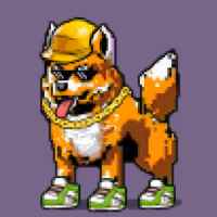 DogePunks #886