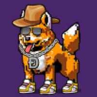 DogePunks #269