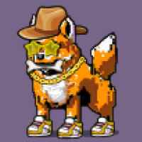 DogePunks #1769