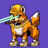 DogePunks #2042