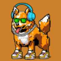 DogePunks #799