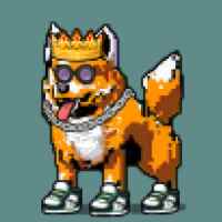 DogePunks #446