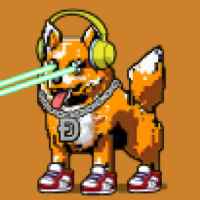 DogePunks #1811